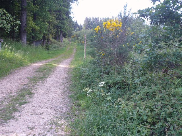2014hwk 081.jpg